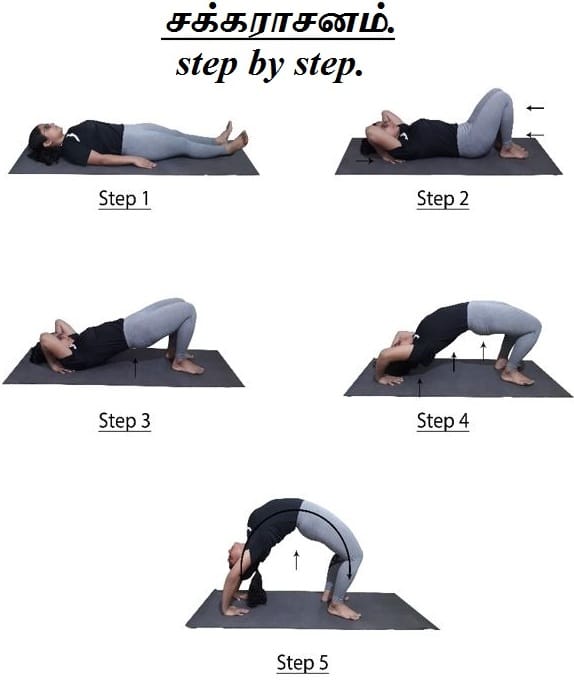 Chakrasana step by step