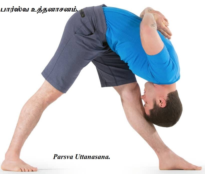 Parsva Uttanasana