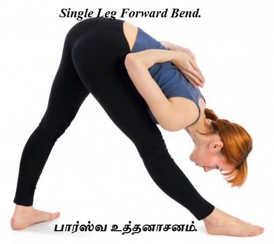 Single Leg Forward Bend_Parsva Uttanasana