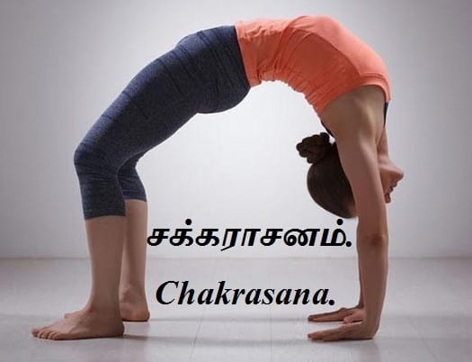 chakrasana-Wheel Pose