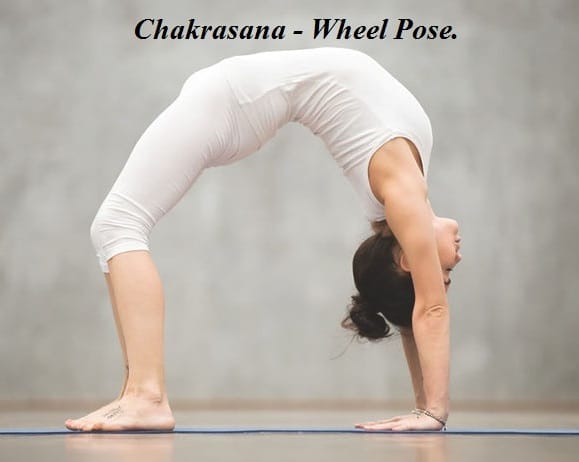 chakrasana