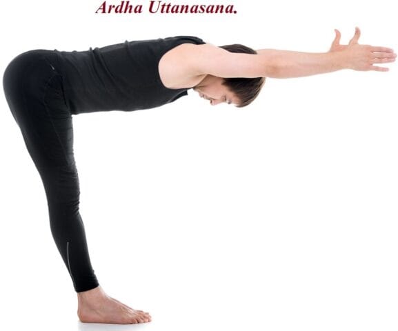 Continue the practice for - Ardha Uttanasana.