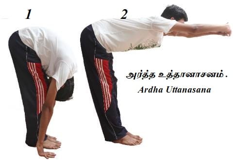 Continue the practice for - Ardha Uttanasana – yoga