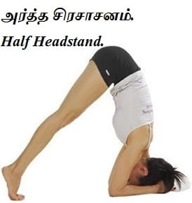 Continue the practice for - Artha sirsasana. female