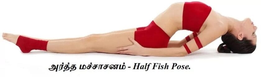 Machasana Half Fish Pose.