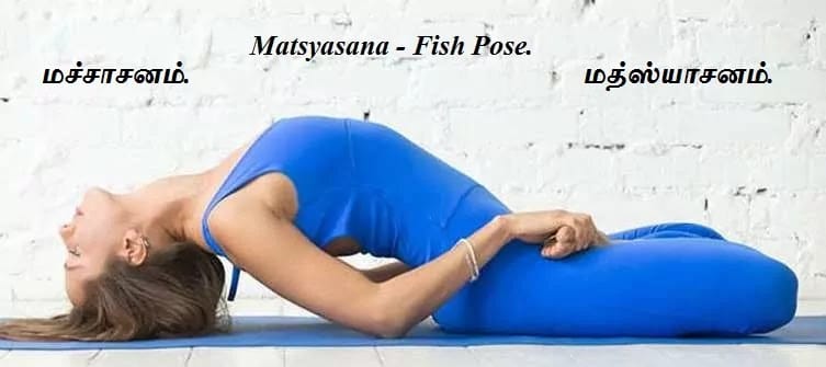 Machasana - Half Fish Pose 2