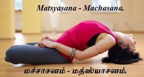 Machasana - Half Fish Pose.