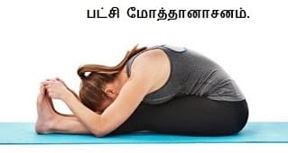 Continue the practice for - Paschimottanasana.