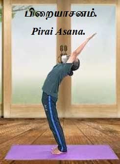 Continue the practice for - Pirai Asana.  Arc of the Moon Pose.
