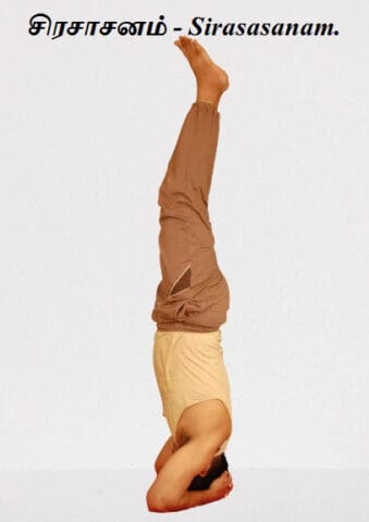 Continue the practice for - Sirasasanam.