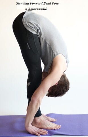 Continue the practice for - Uttanasana. Standing Forward Bend Pose