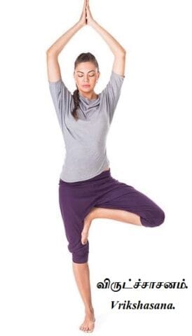 Vrikshasana
