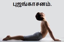 Continue the practice for - Bhujangasana or Sarpasana.