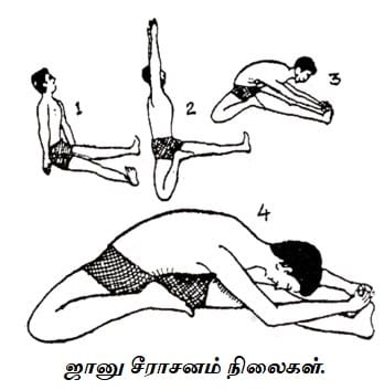 Continue the practice for -Janu sirsasana. Postur.