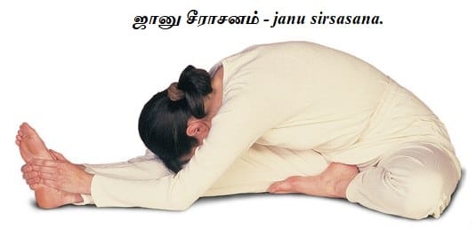 Continue the practice for -Janu sirsasana. while Sitting.