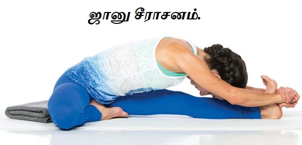 Continue the practice for -janu sirsasana
