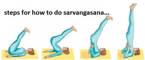 steps for how to do sarvangasana