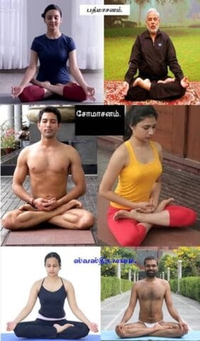 yogasana