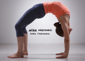 Half Wheel Pose Ardha Chakrasana