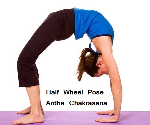Ardha chakrasana