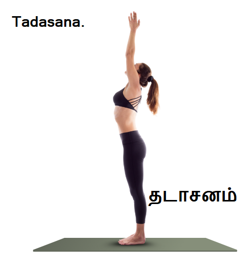 Tadasana - Mountain pose