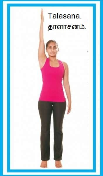 Talasana-Palm Tree Pose.