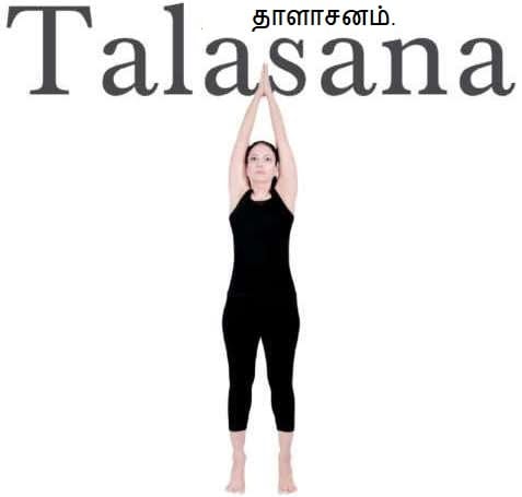 Palm Tree Pose