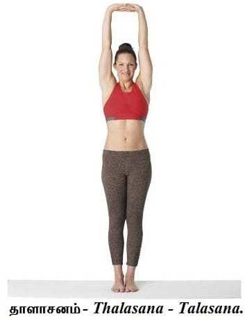 Thalasana_Talasana