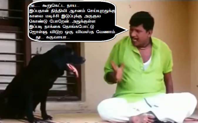 dog vadivelu angry