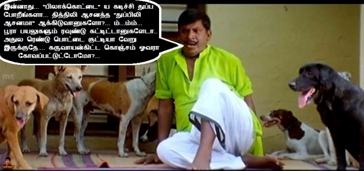 Titli asana - testicles totally damaged