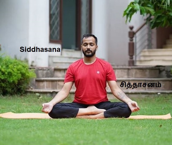 Siddhasana